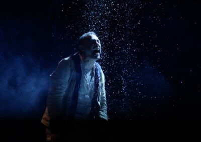 DANS LA SOLITUDE DES CHAMPS DE COTON