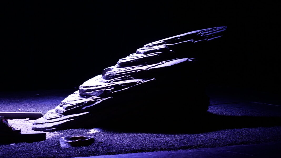 DANS LA SOLITUDE DES CHAMPS DE COTON Traduction scénographique Philippe Miesch